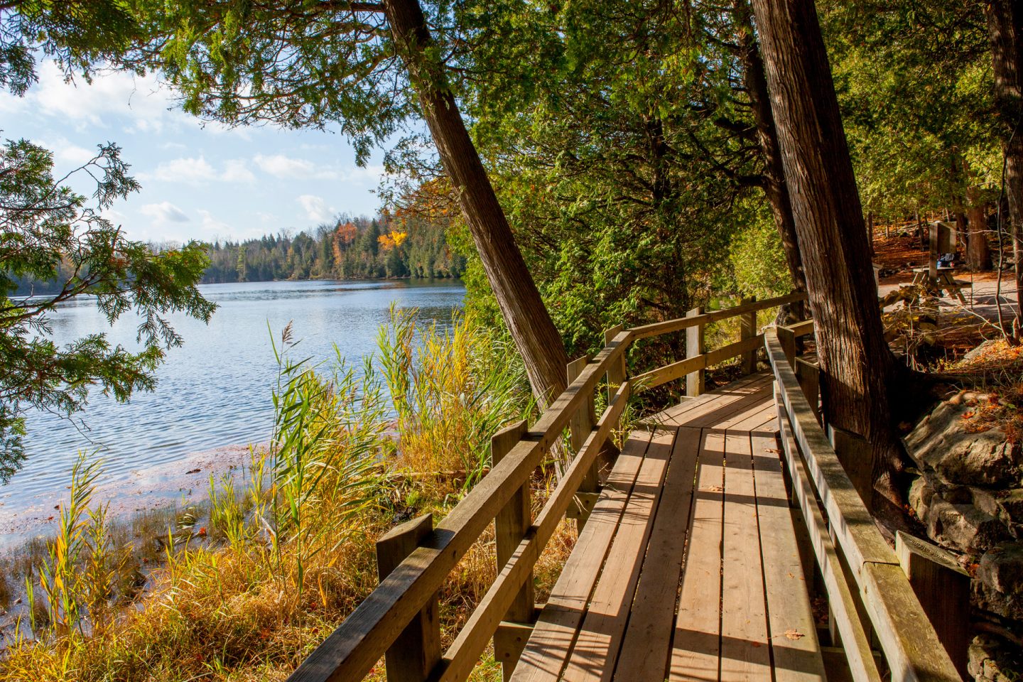 Crawford Lake Conservation Area