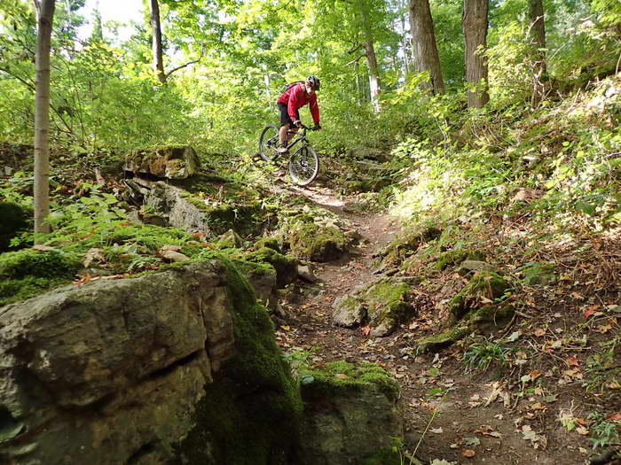 Bruce Trail Waterdown