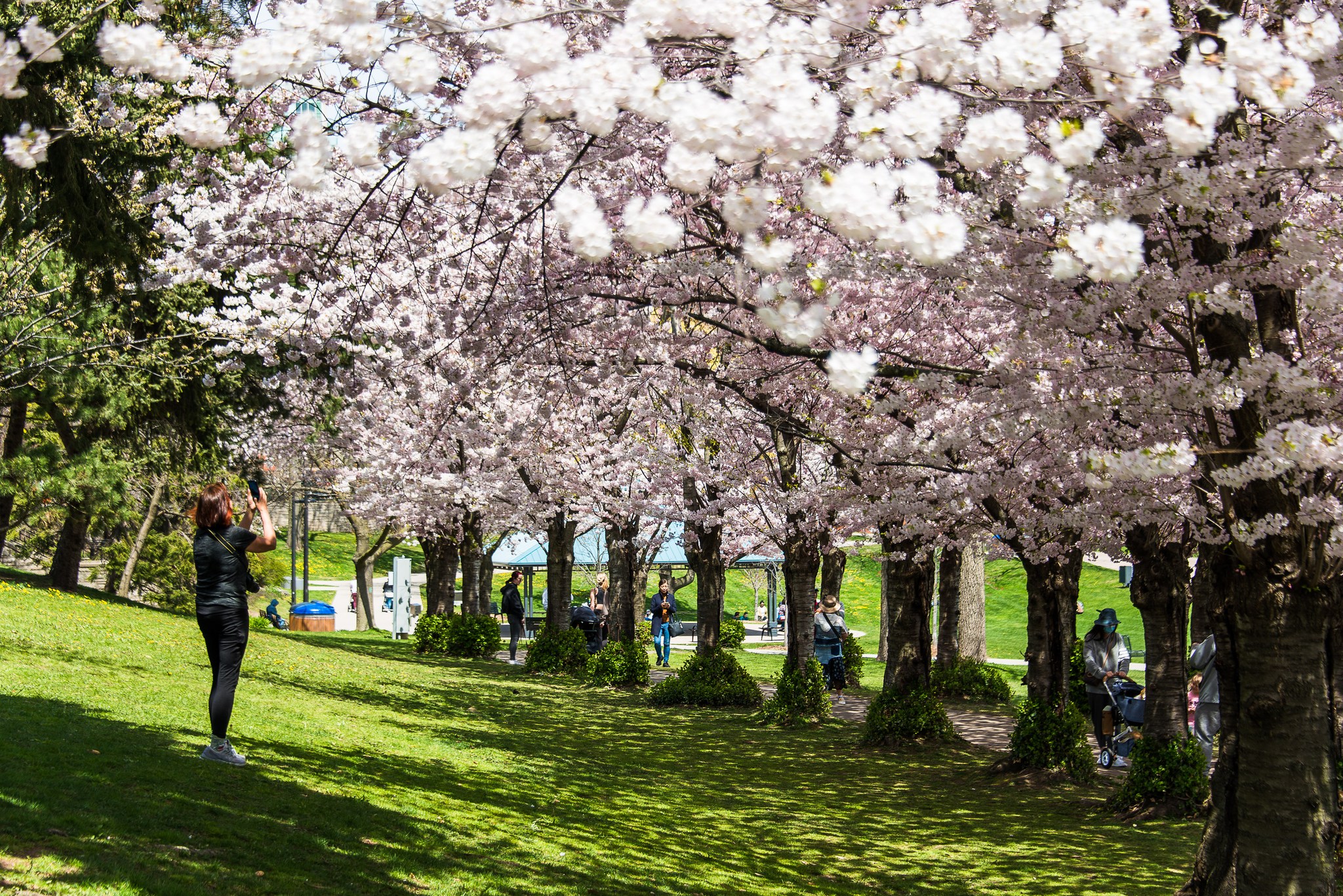 Burlington waterfront Lake Ontario