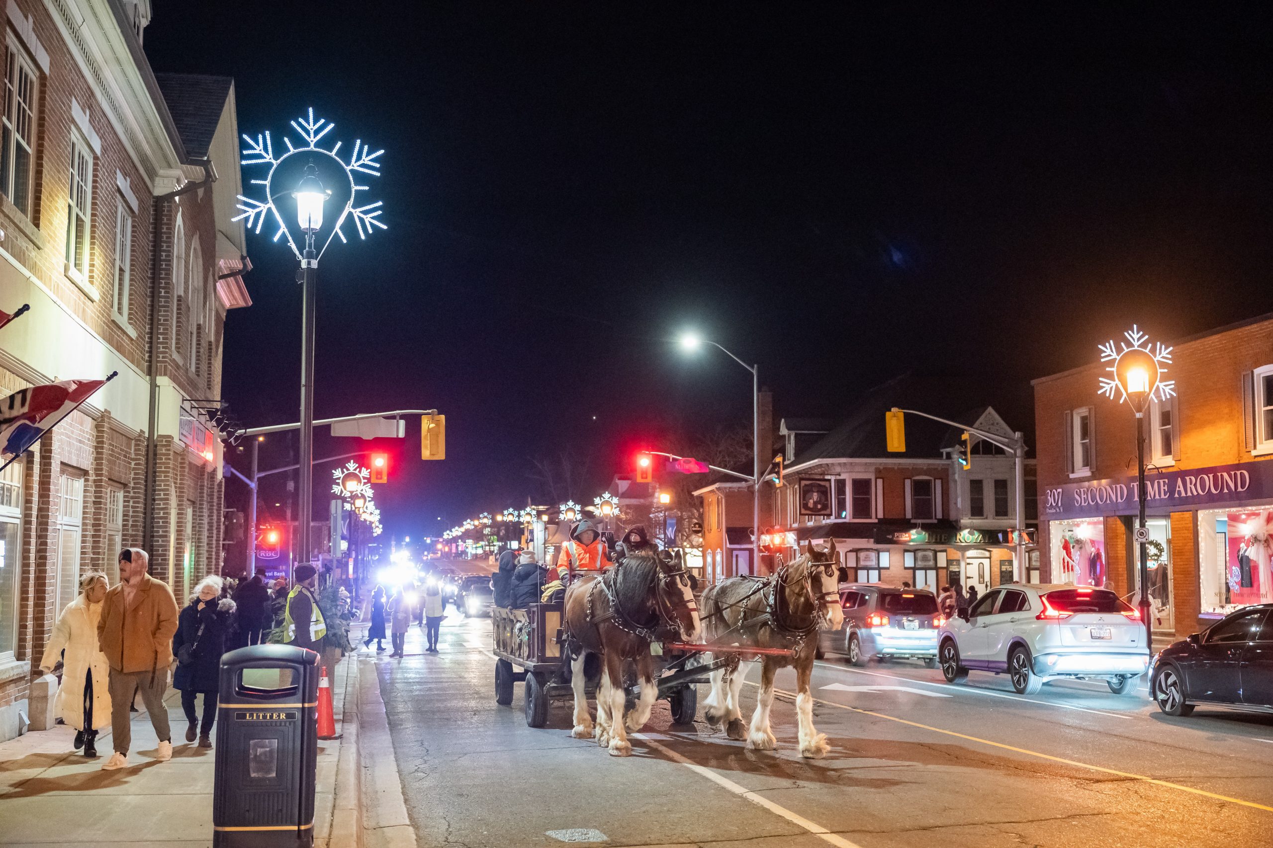 Waterdown wetland trails nature